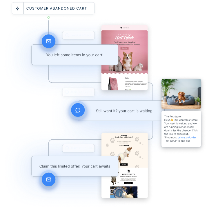 Amplified Email Marketing - Abandoned Carts